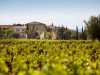 Chateau de Beaucastel Wine Cellar