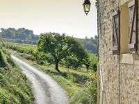 Chateau de Beaucastel Wine Cellar