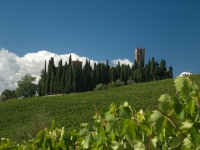 Marchese Antinori Wine Cellar – Italy